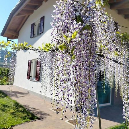 Agritur Lavanda Nave San Rocco Bagian luar foto