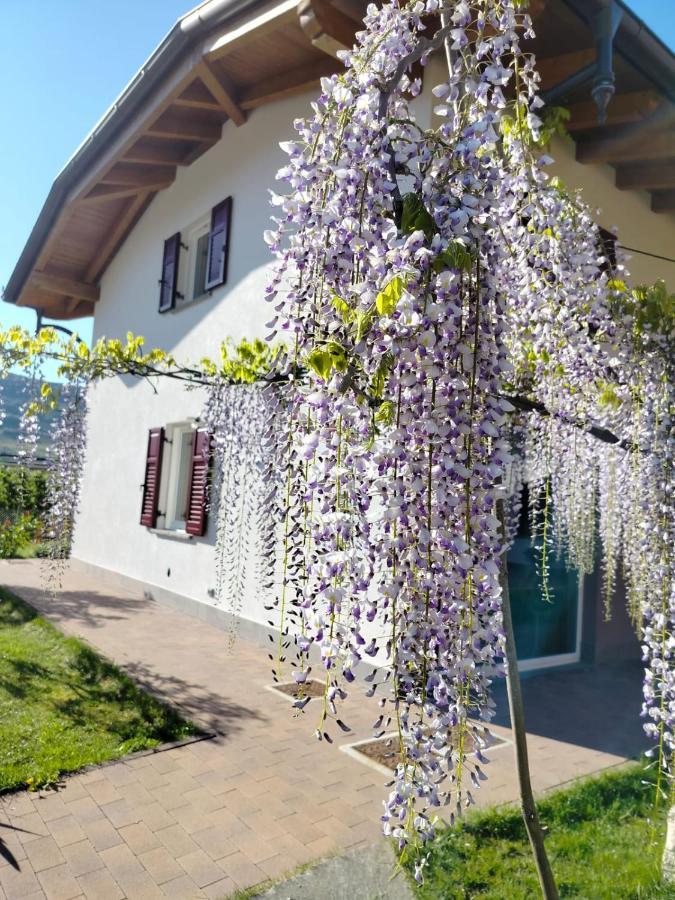 Agritur Lavanda Nave San Rocco Bagian luar foto